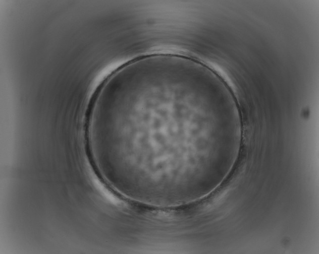 X0000093150995200709261441