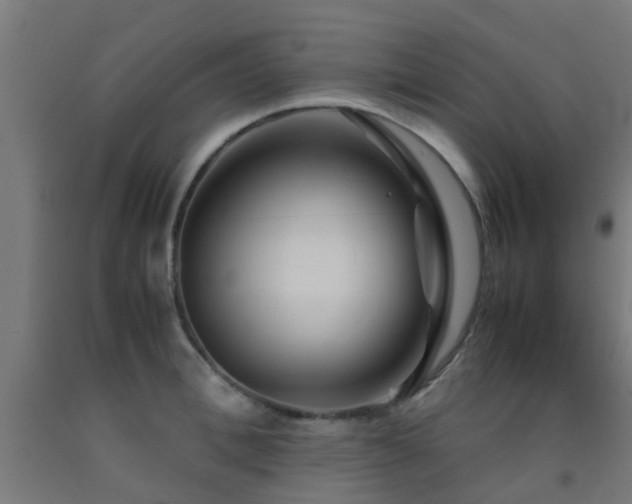 X0000093150996200709261441