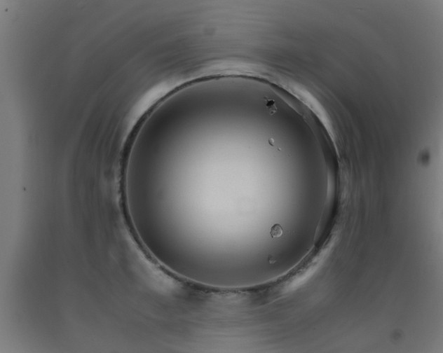 X0000093150997200709261441