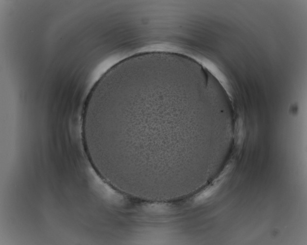 X0000093150998200709261441