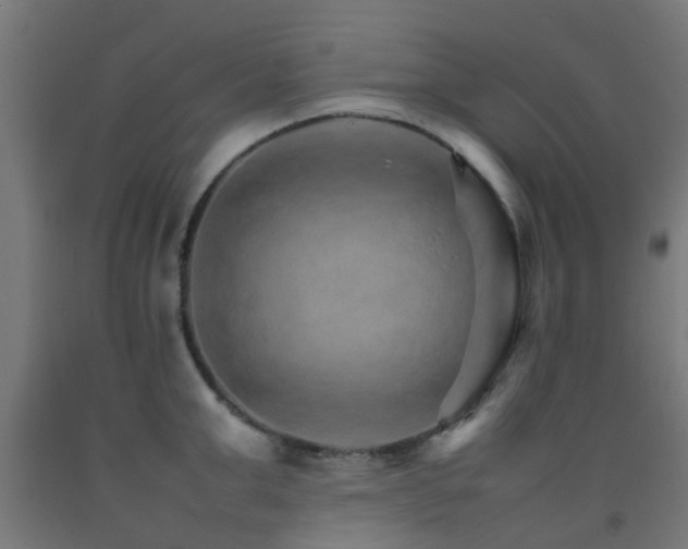 X0000093150999200709261441