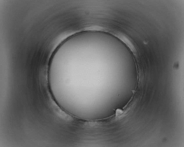 X0000093151000200709261441
