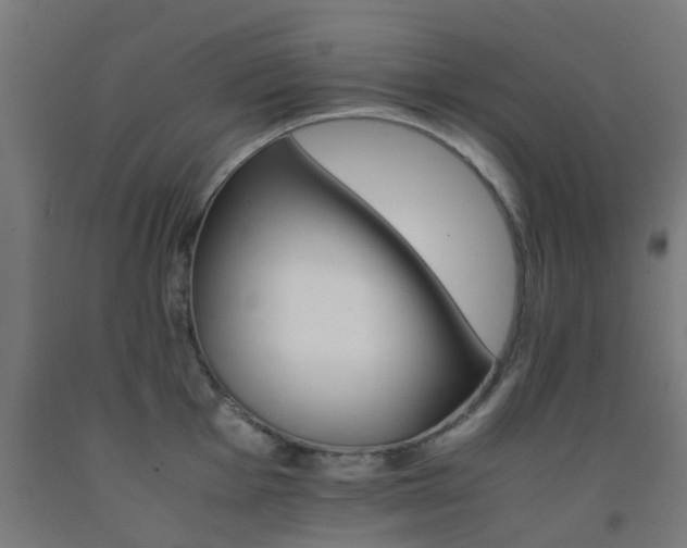 X0000093151001200709261441