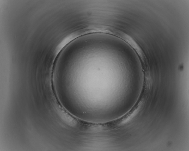 X0000093151002200709261441