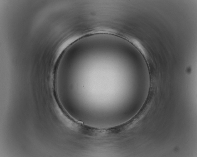 X0000093151003200709261441