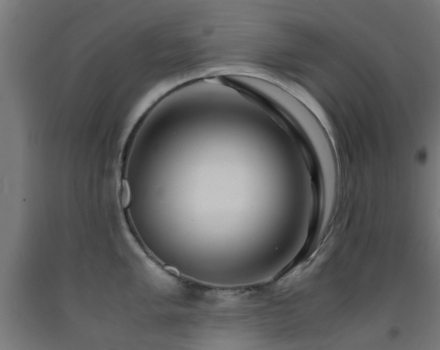X0000093151005200709261441