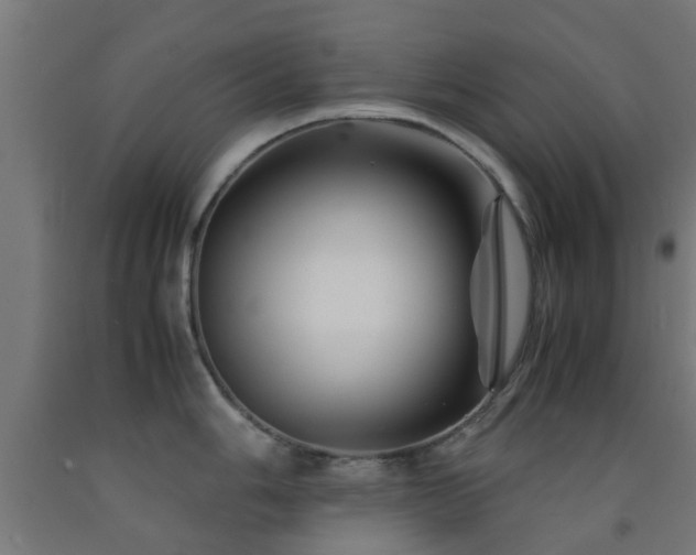 X0000093151006200709261441