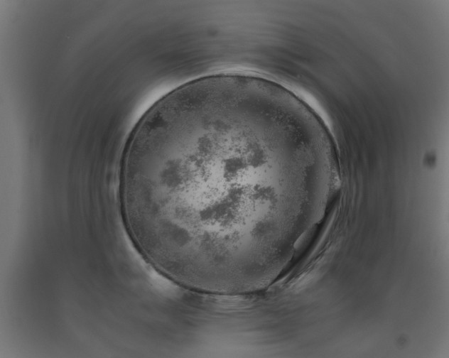 X0000093151007200709261441