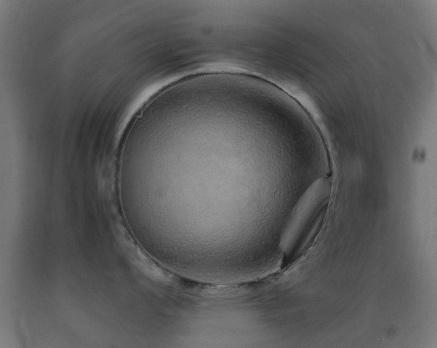 X0000093151008200709261441