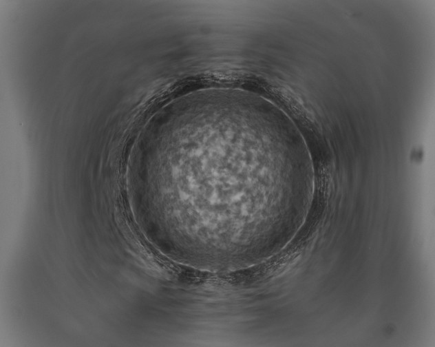 X0000093151009200709261440