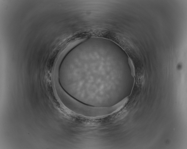 X0000093151010200709261440