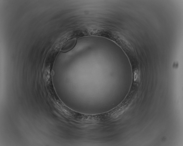 X0000093151011200709261440