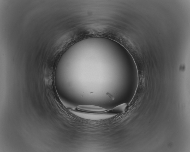 X0000093151012200709261441