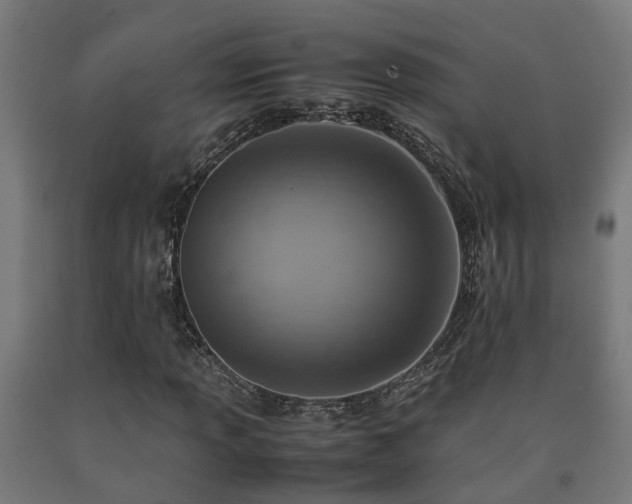 X0000093151013200709261441