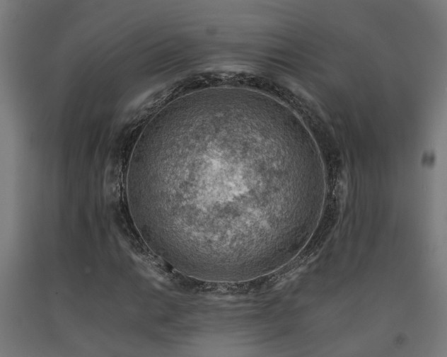 X0000093151014200709261441