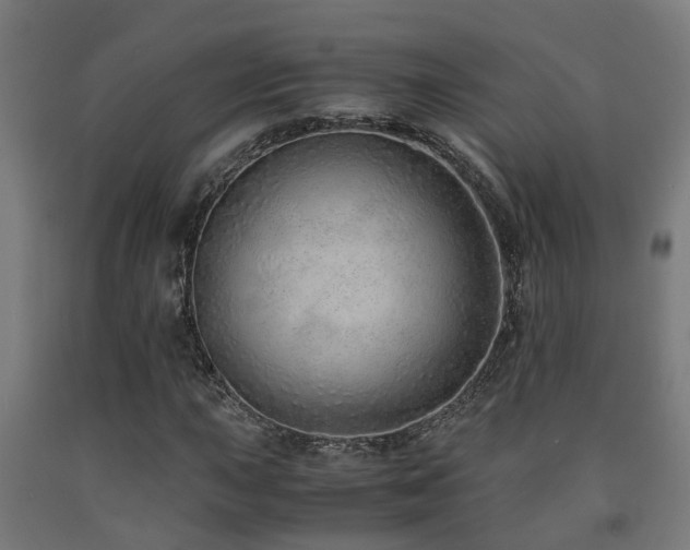 X0000093151015200709261441