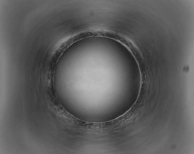 X0000093151016200709261441