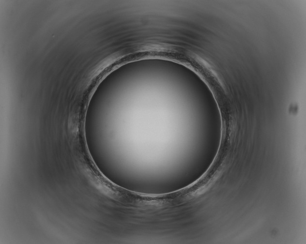 X0000093151017200709261441