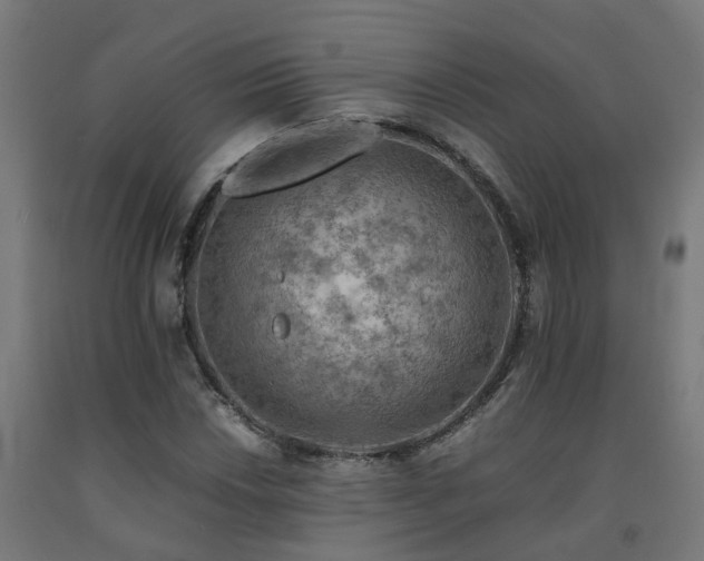 X0000093151018200709261441