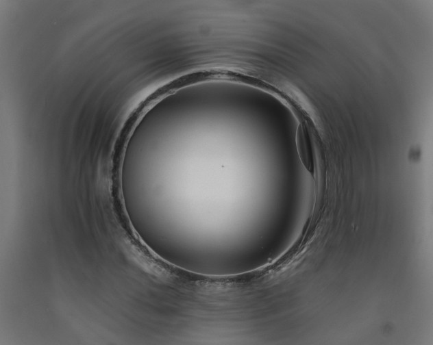 X0000093151020200709261441