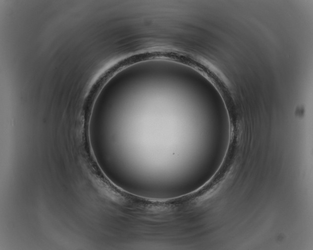 X0000093151021200709261441