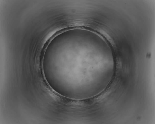 X0000093151023200709261441
