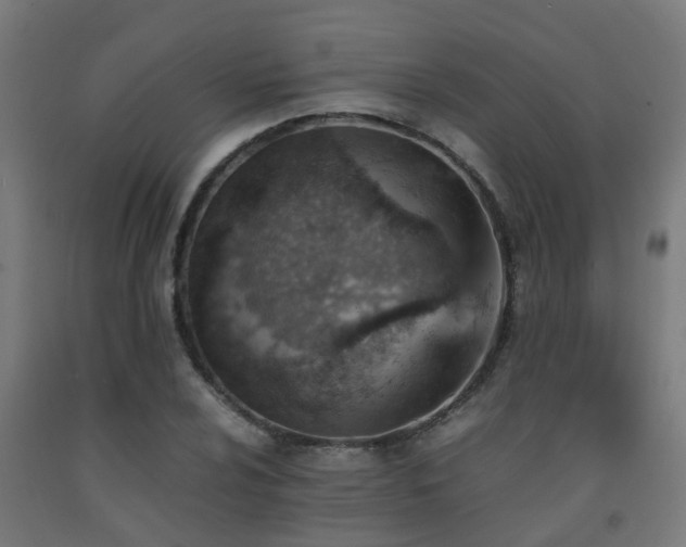 X0000093151024200709261441