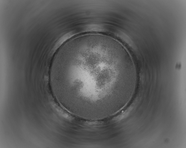 X0000093151025200709261441