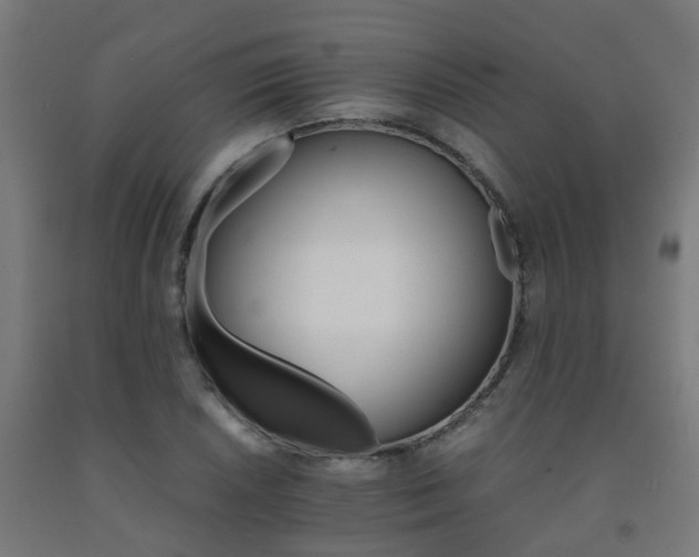 X0000093151026200709261441