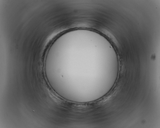 X0000093151027200709261441