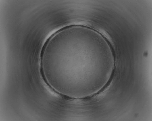 X0000093151028200709261441