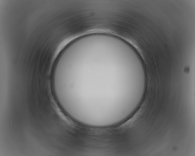 X0000093151030200709261441