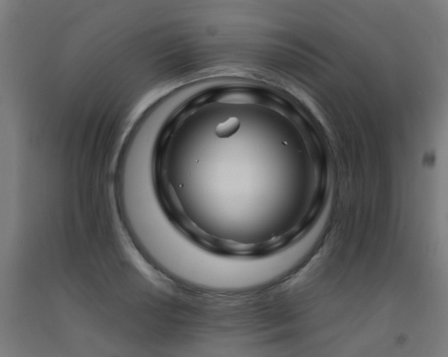 X0000093151034200709261441
