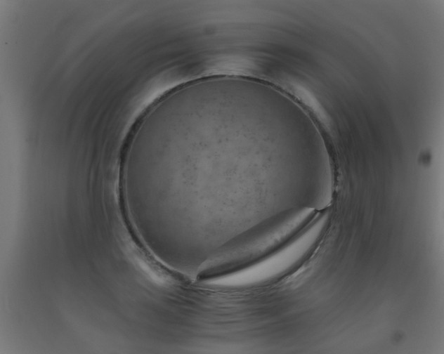 X0000093151035200709261441