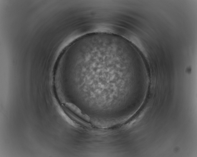 X0000093151037200709261441
