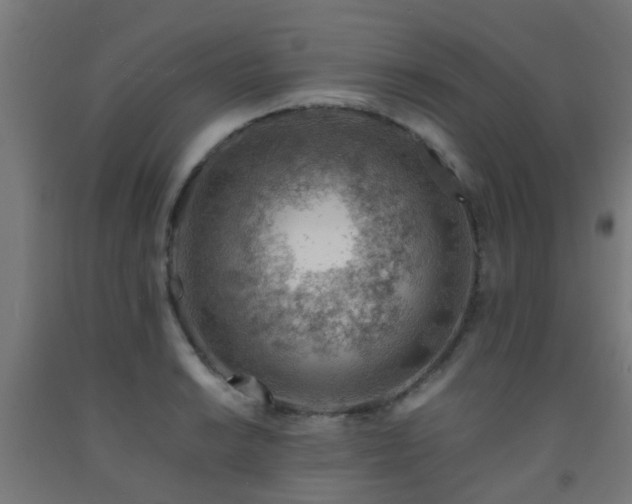 X0000093151038200709261441
