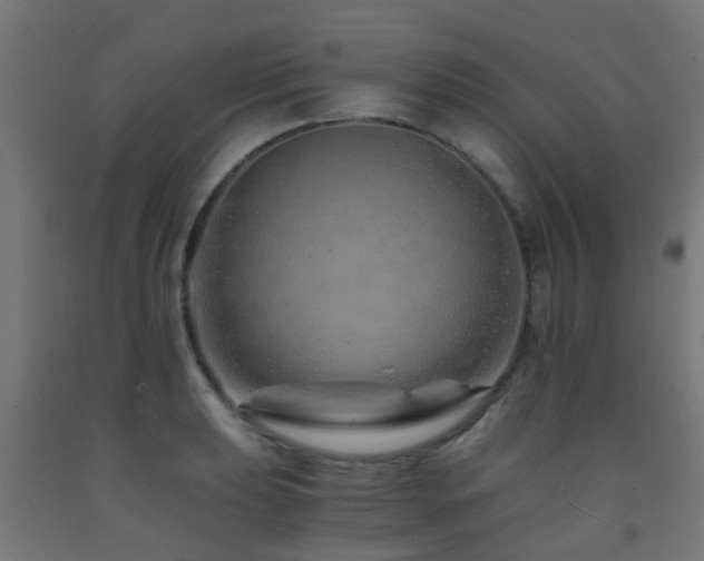 X0000093151039200709261441