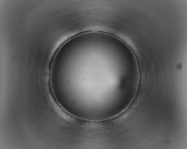 X0000093151040200709261441