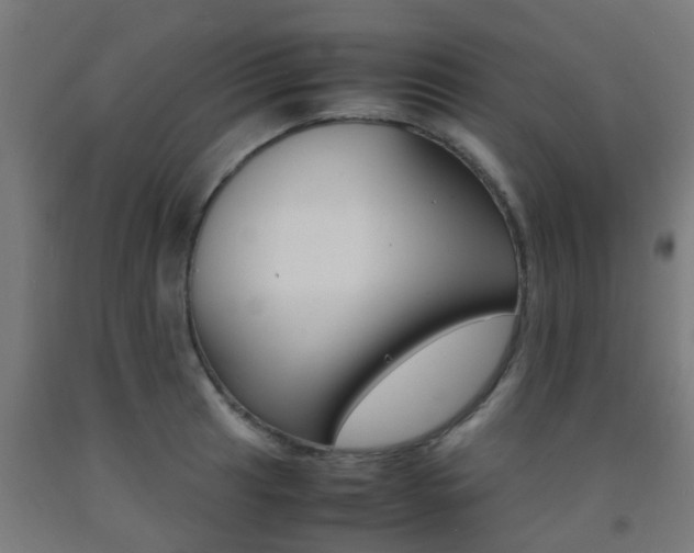 X0000093151041200709261441