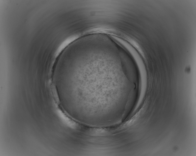 X0000093151042200709261441