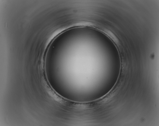 X0000093151044200709261441