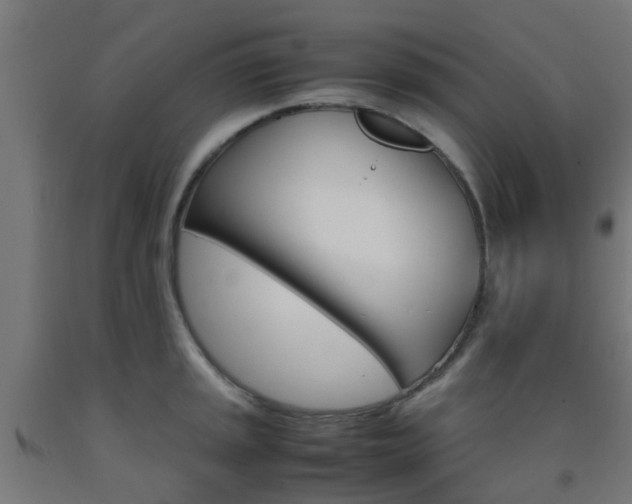 X0000093151045200709261441