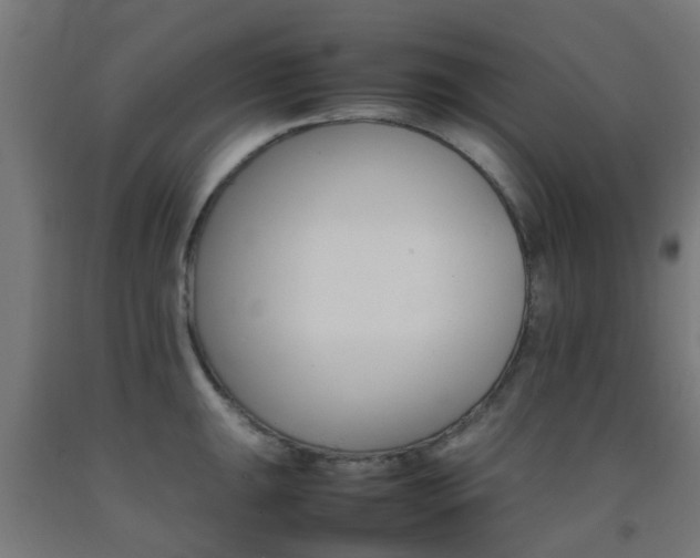 X0000093151047200709261441