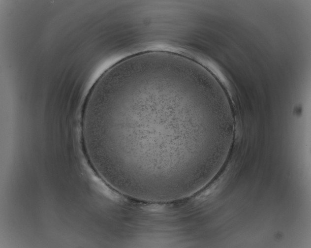 X0000093151048200709261441