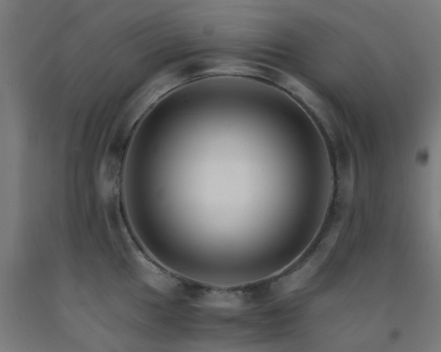 X0000093151049200709261441
