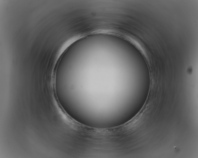 X0000093151050200709261441