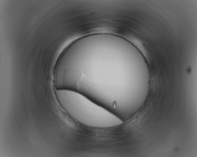 X0000093151051200709261441
