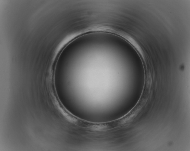 X0000093151053200709261441