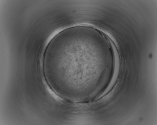 X0000093151054200709261441