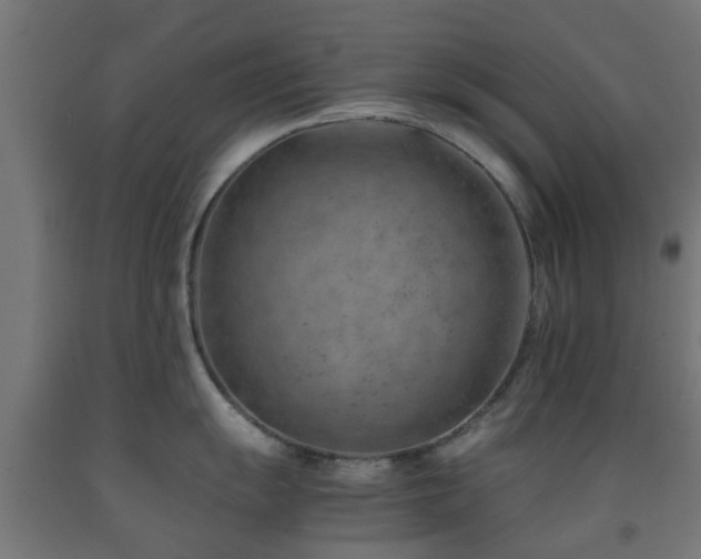 X0000093151055200709261441